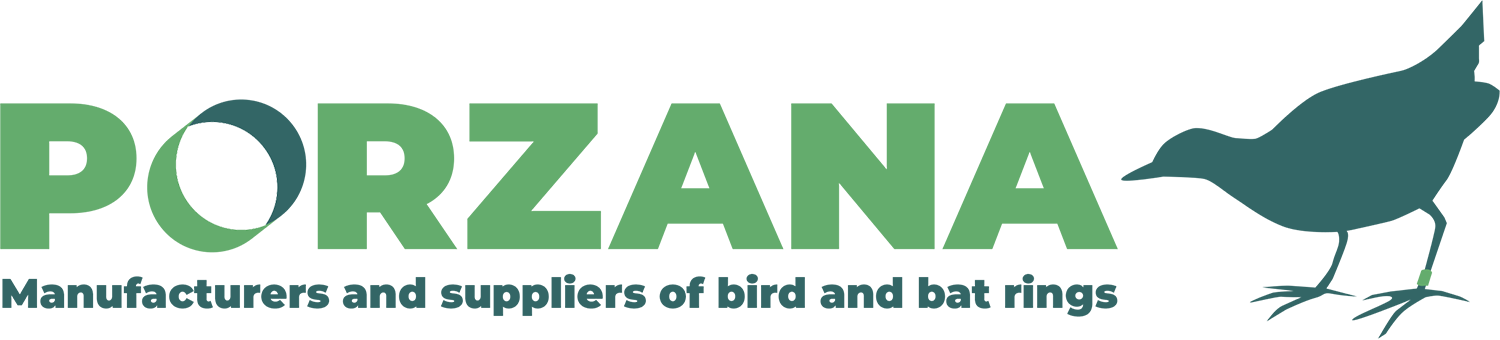 PORZANA