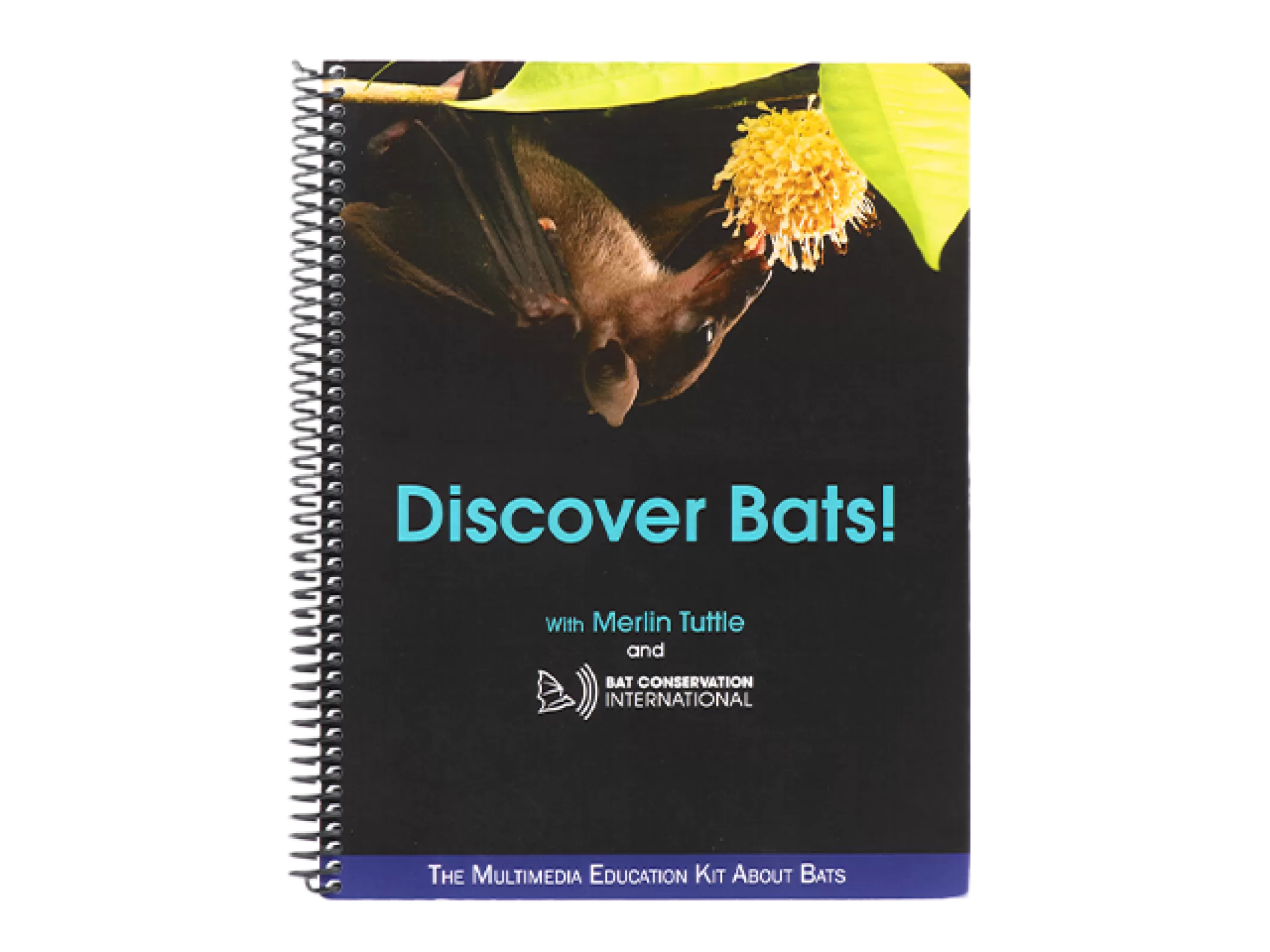 Discover Bats! 교육용 서적